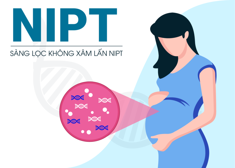 Tầm quan trọng của việc xét nghiệm NIPT